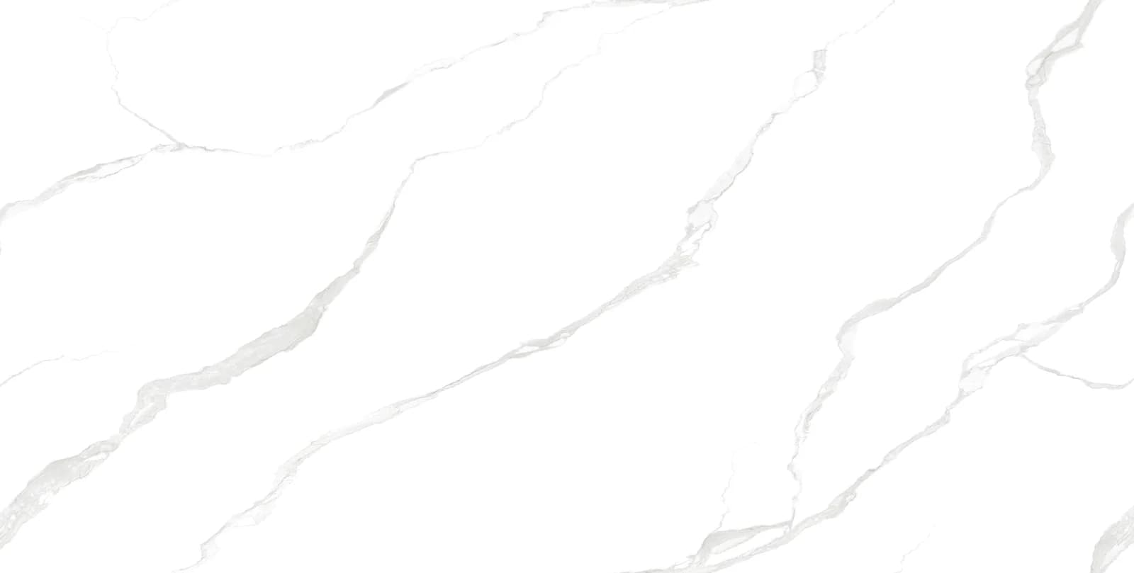 Referencia del tono Les White