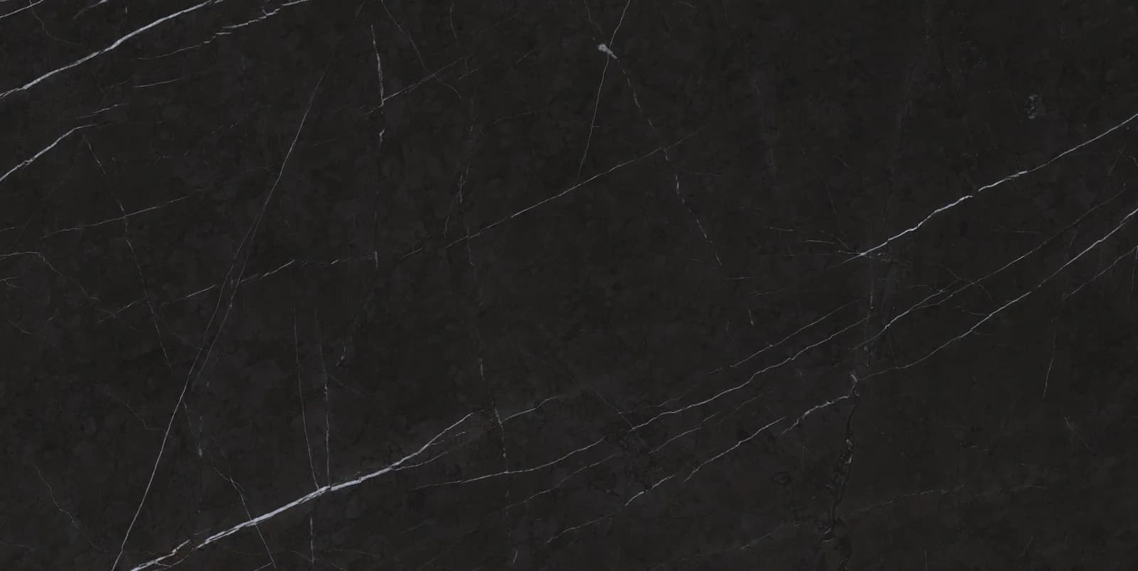 Referencia del tono Bulgary Dark Grey